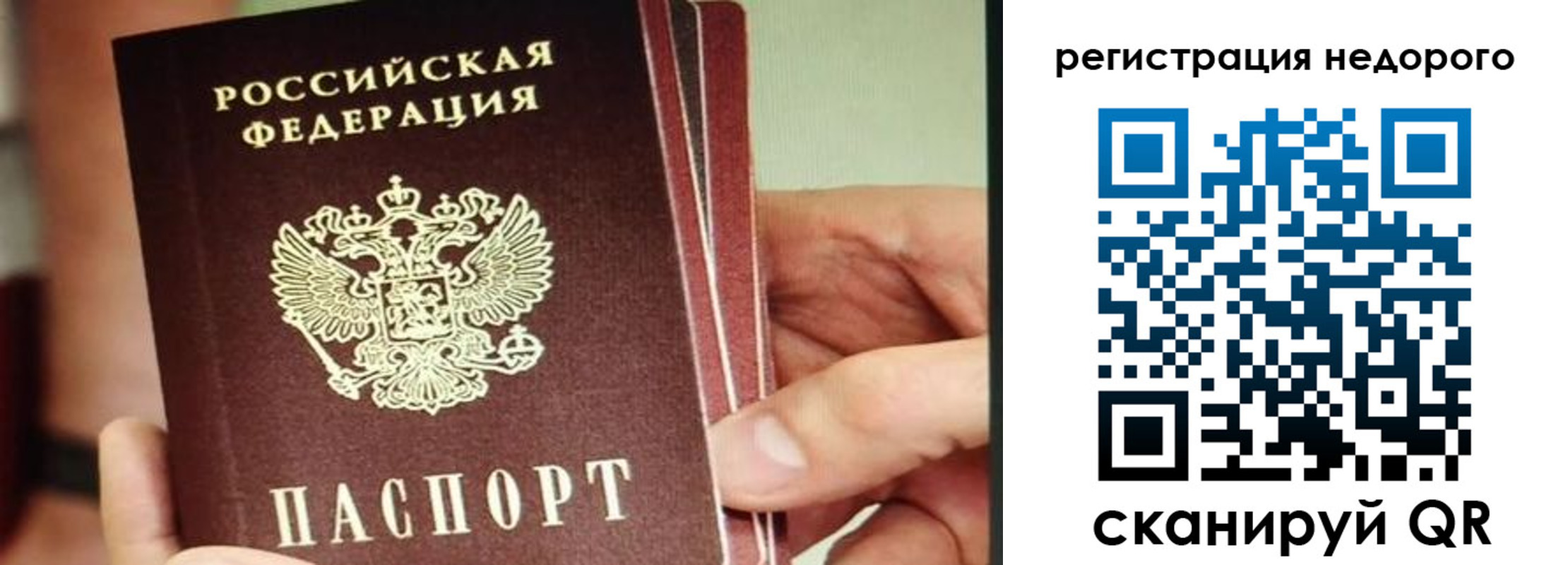 прописка в квартире в Камышлове